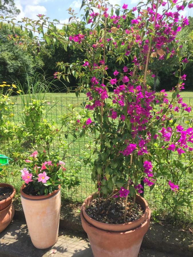 B&B La Villa Mediterranea Passirano 外观 照片