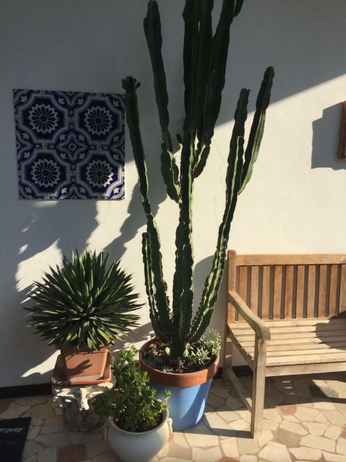 B&B La Villa Mediterranea Passirano 外观 照片
